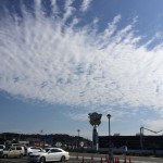 非公式のようで非公式ではない