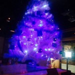 あと２０日ちょい