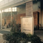 お休みでしたよ～