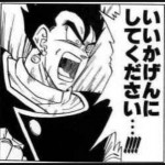 いい加減、適当、生半可、ぞんざい   大雑把