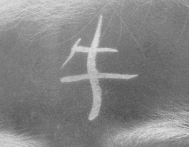 トレードマーク