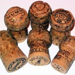 そう言えばワインってシュワシュワしたのあるよね？