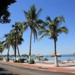 カリフォルニアってどんなとこ？