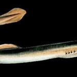 当たり前は当たり前じゃない。