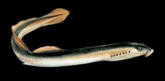 当たり前は当たり前じゃない。