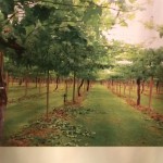 ワイン展に行ってみた。その3。ヴェレゾンとBrix