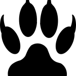 ミラクルは続く！