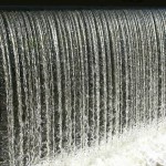 色々居るんです